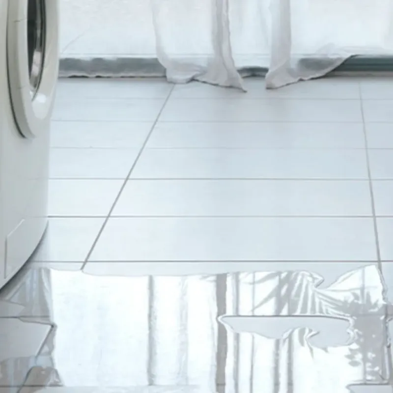 Appliance Leak Cleanup in Holbrook, AZ