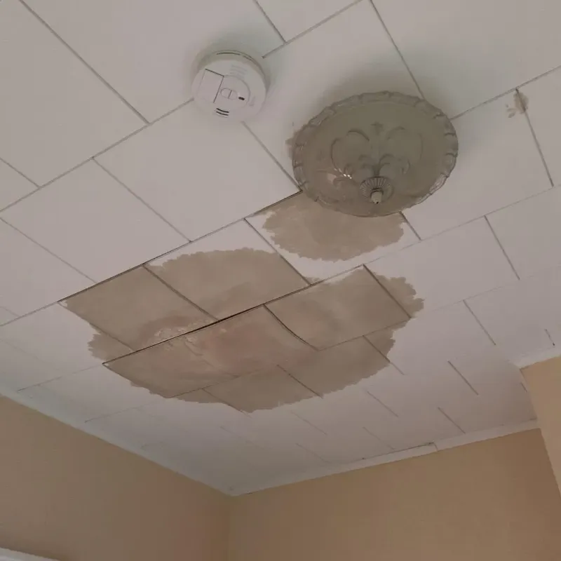 Ceiling Water Damage Repair in Holbrook, AZ