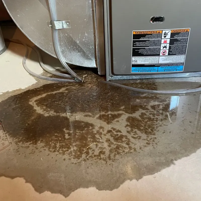 Pipe Burst and Leak Restoration in Holbrook, AZ